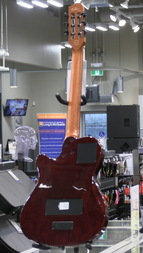 Store Special Product - Godin Guitars - G52417